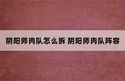 阴阳师肉队怎么拆 阴阳师肉队阵容